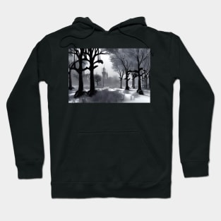 Winter is coming... Hoodie